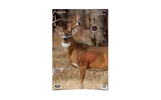 Picture of  Birchwood Casey 35401 Pregame  Deer Paper Hanging Universal 16.50" X 24" 3 Per Pkg 029057354010