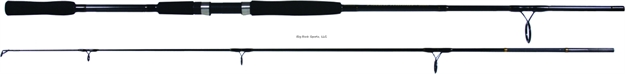 Picture of Beach Runner Surf Spinning Rod 10' 2Pc Med 15-30Lb Graphite Eva Grips