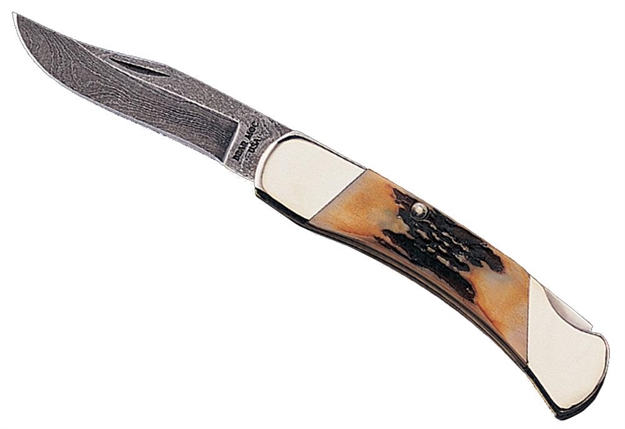 Picture of Bear & Son 505D India Midsize Folder 2.75" Damascus Clip Point Stag
