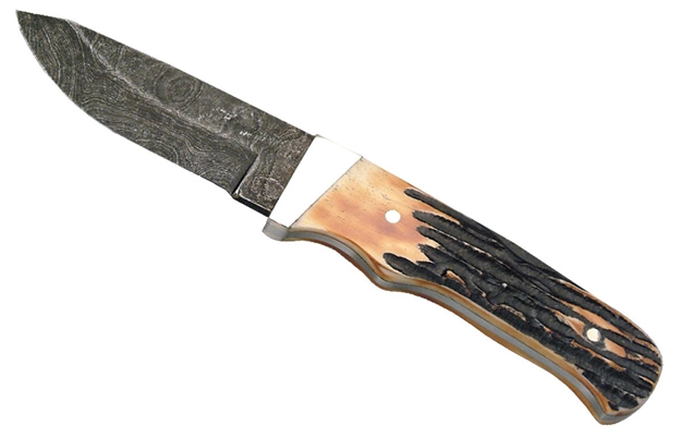 Picture of Bear & Son 548D India Skinner Fixed 2.375" Damascus Drop Point Stag