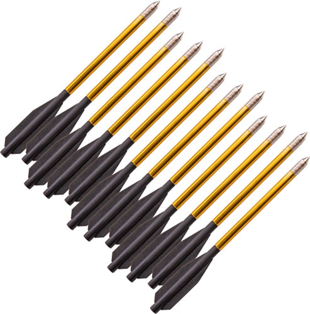 Picture of Bear Archery Desire Crossbow Bolts 12Pk AVXA12P 754806303697