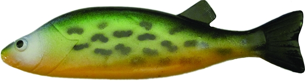Picture of Bear Creek Spearing Decoy 8" Perch, Firetiger
