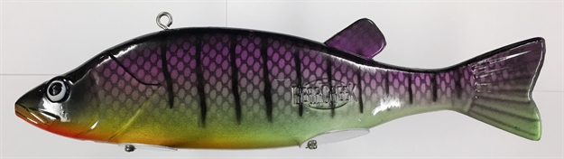 Picture of Bear Creek Spearing Decoy 8" Perch, Purple Gill