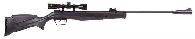 Picture of  Beeman 1061622 Air Rifle Combo 22
