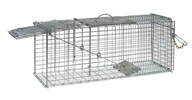 Picture of Bell Locks & Traps Live Animal Trap-Lrg Raco