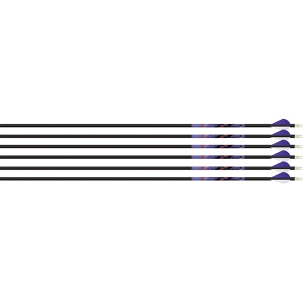 Picture of Beman Arrow Ics Indigo 500 W/ Xpv Vanes 6-Pack White/Purple