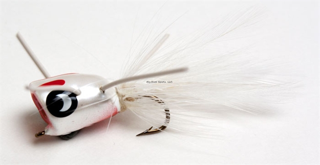Picture of Betts Tackle Bee Pop Fly Popper, White/Red/White