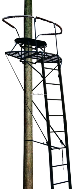 Picture of Big Dog Hunting 17.5' Stadium Series Dual Rail Ladderstand, 2Man, Shoot Rail Full Blind