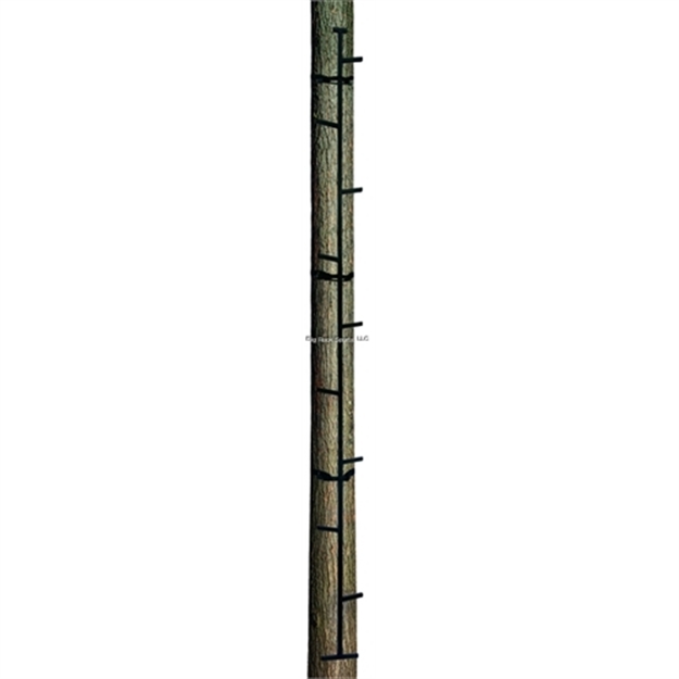 Picture of Big Dog Hunting 20' Climbing Stick, Alternating Steps, Extended Tree Braces