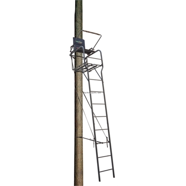 Dodd's Sporting Goods. Big Dog Hunting 22' Beast Ladderstand, Padded