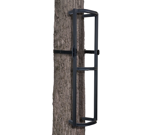 Picture of Big Game Hunting Stagger-Step 12Pk Retail