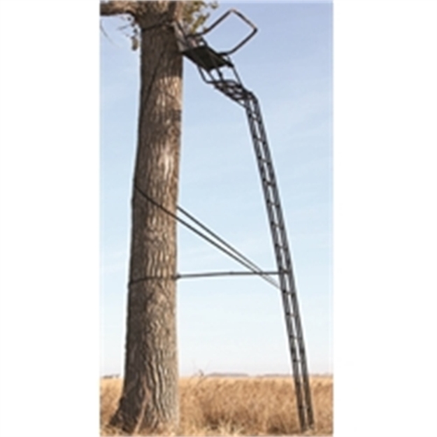 Picture of Big Game Hunting The Sky-Rise