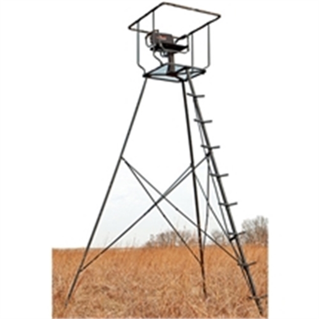 Picture of Big Game Hunting The Triumph