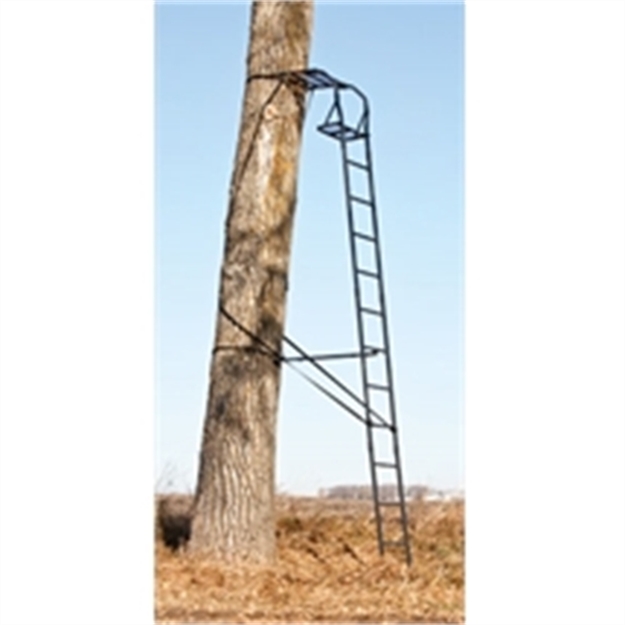 Picture of Big Game Hunting The Warrior