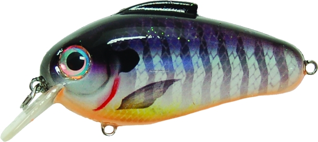 Picture of Bill Lewis Echo 1.75 Crankbait, 3", 5/8 Oz, Blueberry Perch, Floating