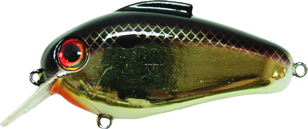 Picture of Bill Lewis Echo 1.75 Crankbait, 3", 5/8 Oz, Gold Shad, Floating