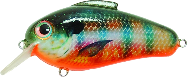 Picture of Bill Lewis Echo 1.75 Crankbait, 3", 5/8 Oz, Stump-Knocker, Floating
