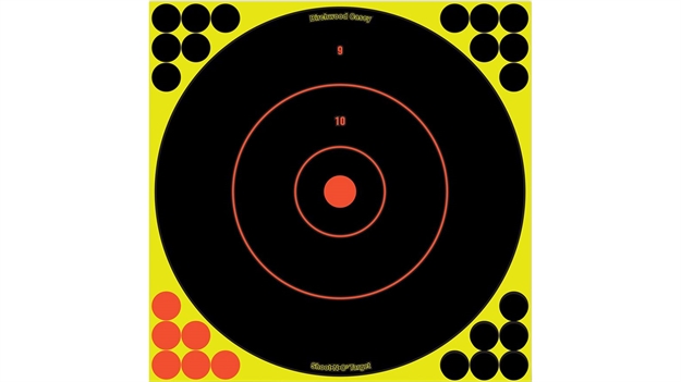 Picture of Birchwood Casey 12" Sight IN 500 PK