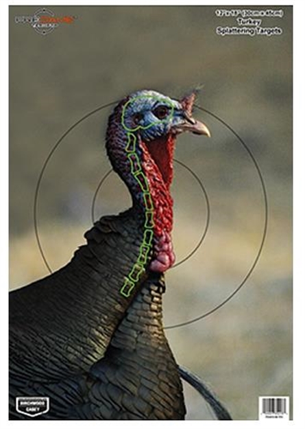 Picture of  Birchwood Casey 35403 Pregame  Turkey Paper Hanging Universal 12" X 18" Multi-Color 8 Per Pkg