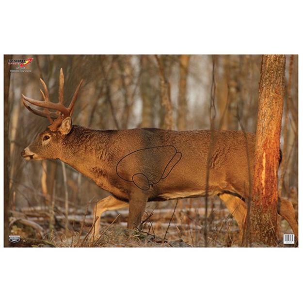 Picture of  Birchwood Casey 37481 Eze-Scorer  Whitetail Deer Paper Hanging 23" X 35" Multi-Color 2 Per Pkg