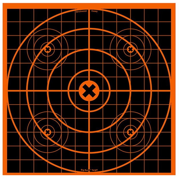 Picture of Birchwood Casey Big Burst 12 Sight IN Target 25 Sheet