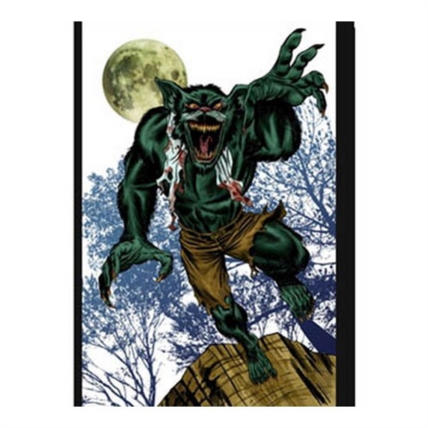 Picture of Birchwood Casey Darkotic Nigh WA 12X18 100