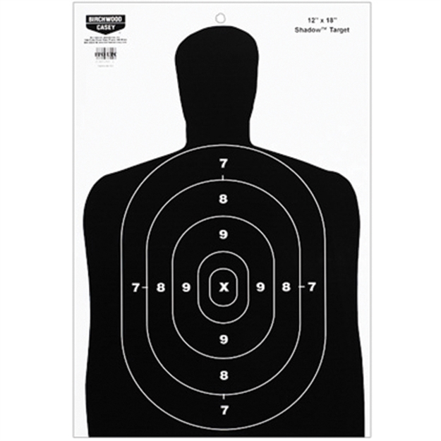 Picture of Birchwood Casey Eze-Scorer 12X18" Bc27 Case/100 37005 002905737005