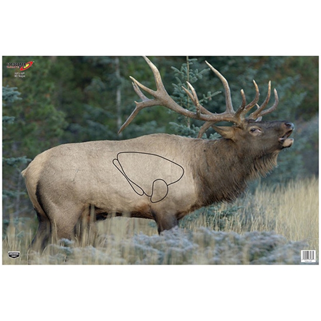 Picture of Birchwood Casey Target Eze-Scorer 23"X35" Elk 2 Targets