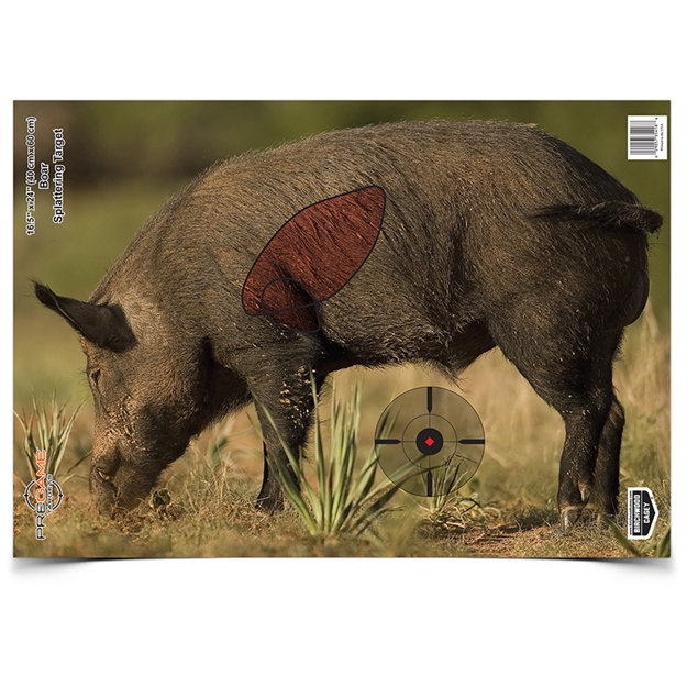 Picture of Birchwood Casey Pregame 16X24 Boar 100Pk