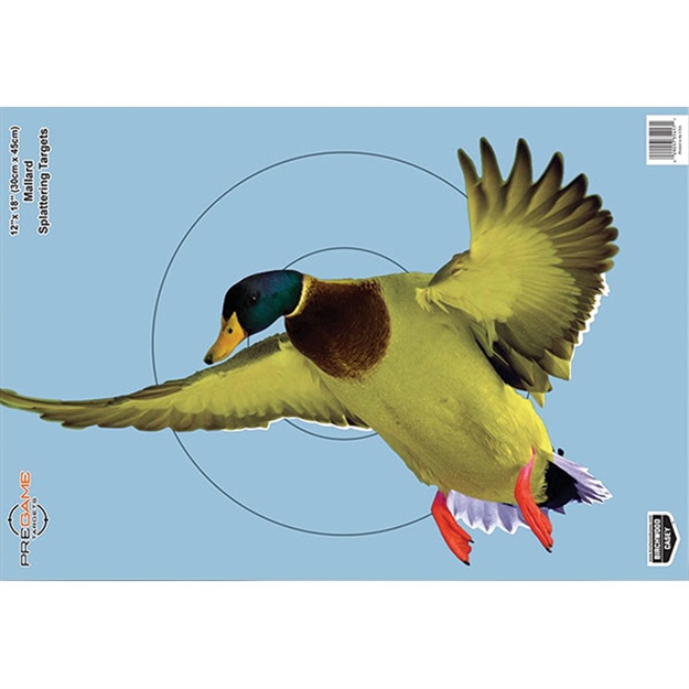 Picture of Birchwood Casey Pregame Duck 12X18 Tgt-100