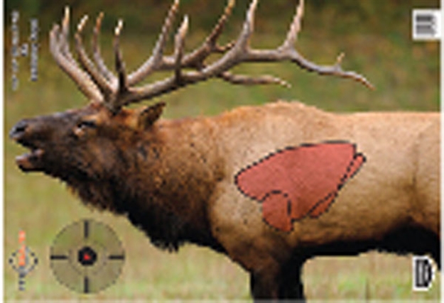 Picture of Birchwood Casey Pregame Elk 16.5X241 100-Pk
