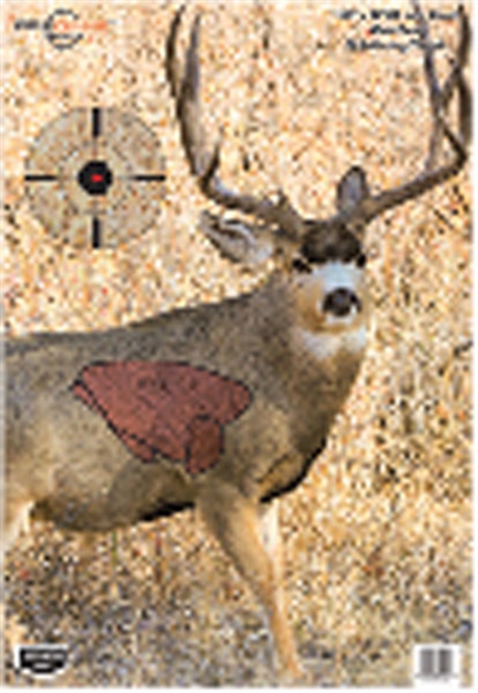 Picture of Birchwood Casey Pregame Mule DR 16.5X24 100