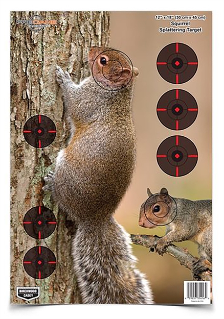 Picture of  Birchwood Casey 35406 Pregame  Squirrel Paper Hanging Rifle 12" X 18" Impact Enhancement 8 Per Pkg