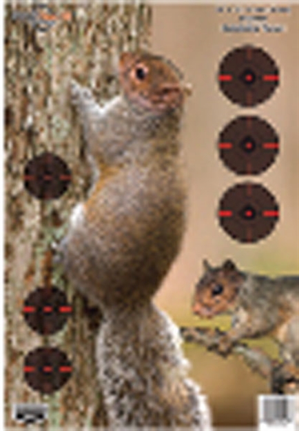 Picture of Birchwood Casey Pregame Squirrl 12X18 100Pk