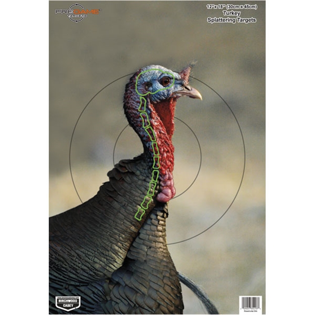 Picture of  Birchwood Casey 35403 Pregame  Turkey Paper Hanging Universal 12" X 18" Multi-Color 8 Per Pkg 029057354034