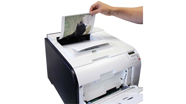 Picture of Birchwood Casey Print NC 8.5X11" Targets 3P