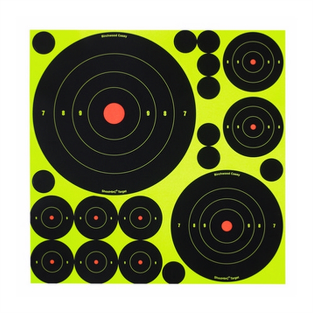 Picture of Birchwood Casey Shoot-N-C Bulls Asst 100