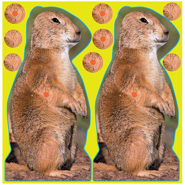 Picture of  Birchwood Casey 34786 Shoot-N-C Reactive Target Self-Adhesive Paper Brown 8" Prairie Chuck 12 Pack 029057347869