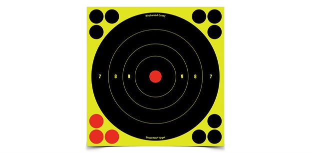 Picture of Birchwood Casey Snc 8" CH Bullseye 500Pk