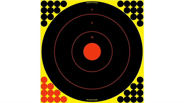 Picture of Birchwood Casey Sr3-100 Snc 17.5" RD Tgt