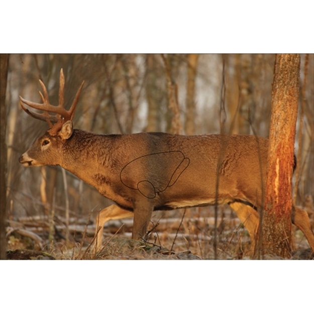 Picture of  Birchwood Casey 37481 Eze-Scorer  Whitetail Deer Paper Hanging 23" X 35" Multi-Color 2 Per Pkg 029057374810