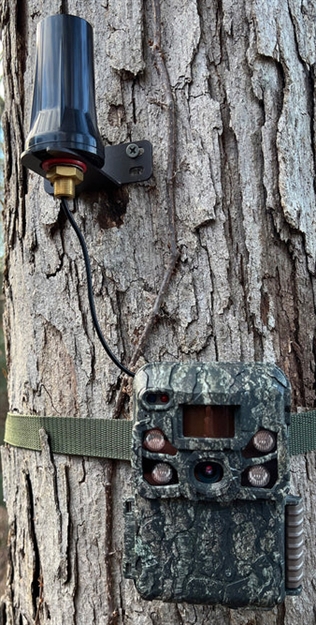 Picture of Black Rain Ordnance Trail Cam Lra External LR Antenna BTCLRA 850042317068