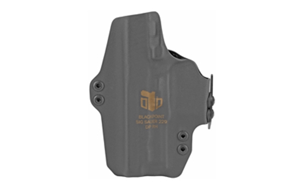 Picture of Blackpoint 104880 Dual Point  Sig P229 Kydex Black