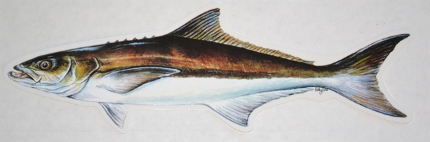 Picture of Blue Water Candy Fish Decal Cobia