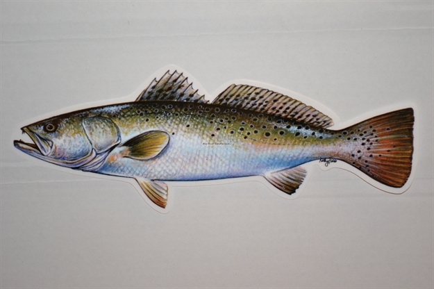 Picture of Blue Water Candy Fish Decal Speckled Trout