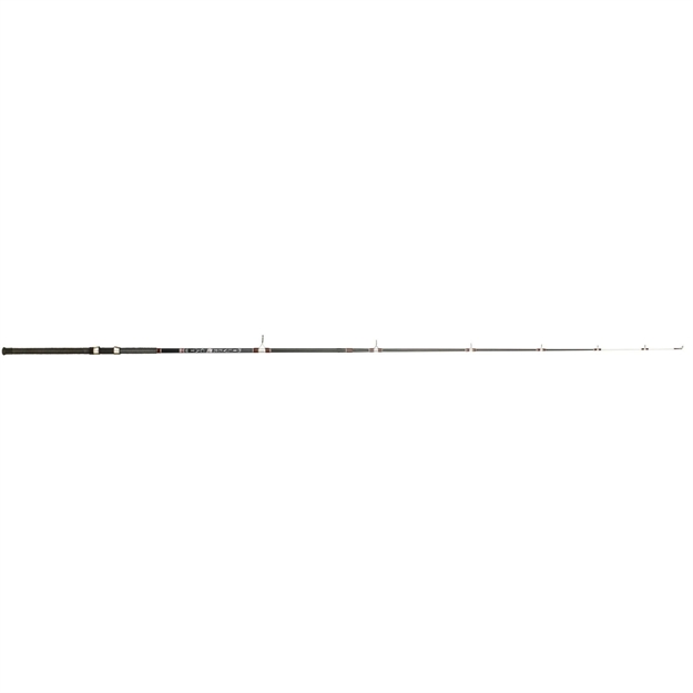 Picture of Bnm Silver Cat Catfish Series Rod 8Ft 2Pc Spinning