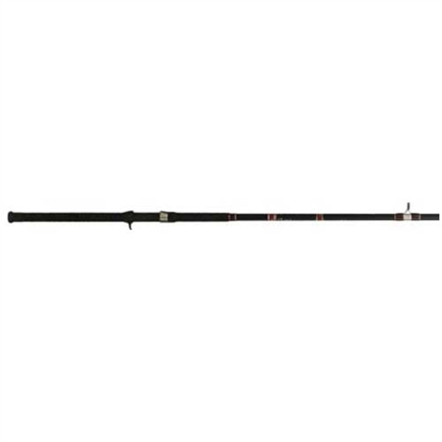 Picture of Bnm Silver Cat Magnum Rod 7Ft 2Pc Spinning