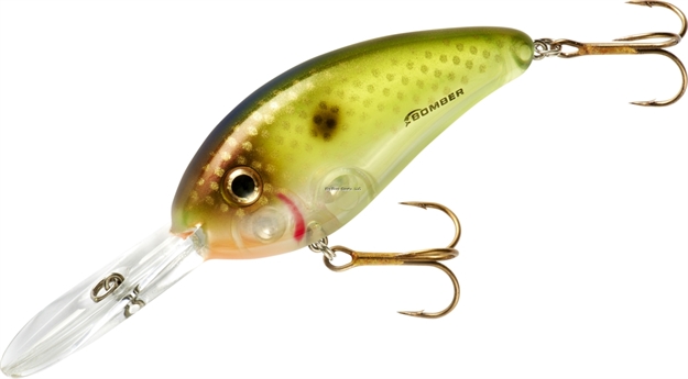Picture of Bomber Fat Free Shad Crankbait,3",3/4Oz, Momossa, Floating