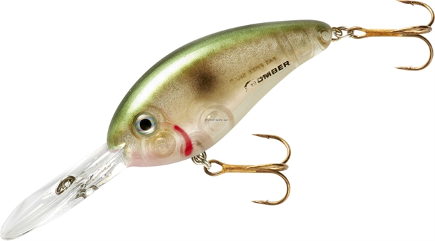 Picture of Bomber Fat Free Shad Jr. Crankbait,2 1/2", 1/2Oz,Pure Shad, Floating
