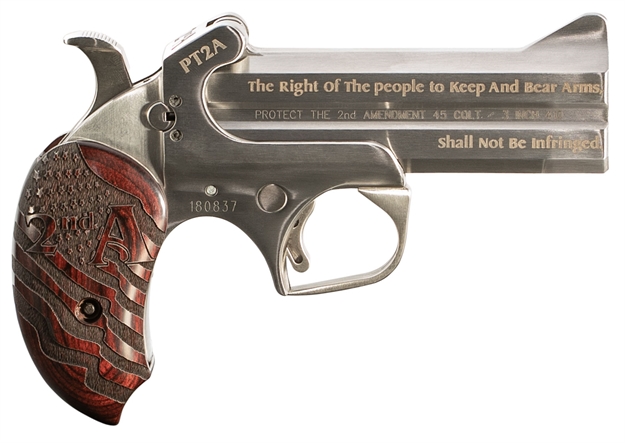 Picture of Bond Arms Pt2a Protect The 2Nd Amendment Derringer Single 45 Colt (Lc)/410 Gauge 4.25" 2 Round Stainless Steel PT2A45/410 855959001291
